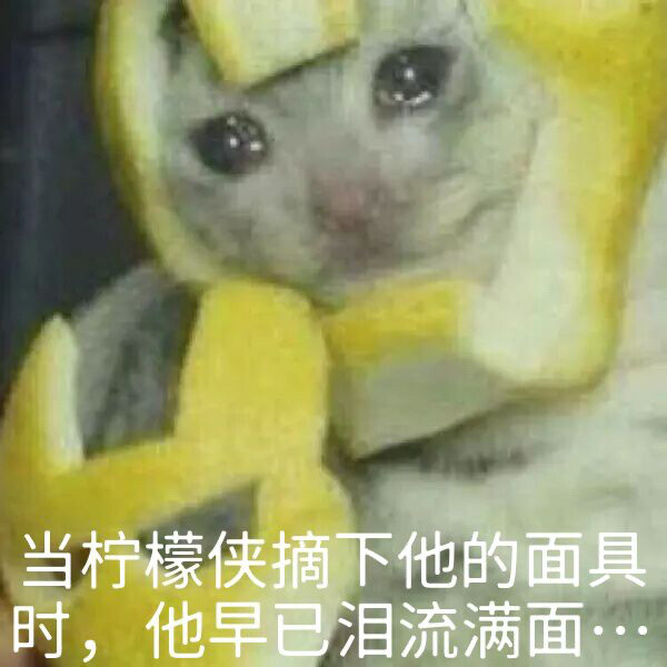 柠檬眼泪猫表情包图片