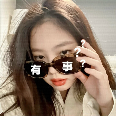 BLACKPINK jennie 金珍妮
不会毁路人员的表情包