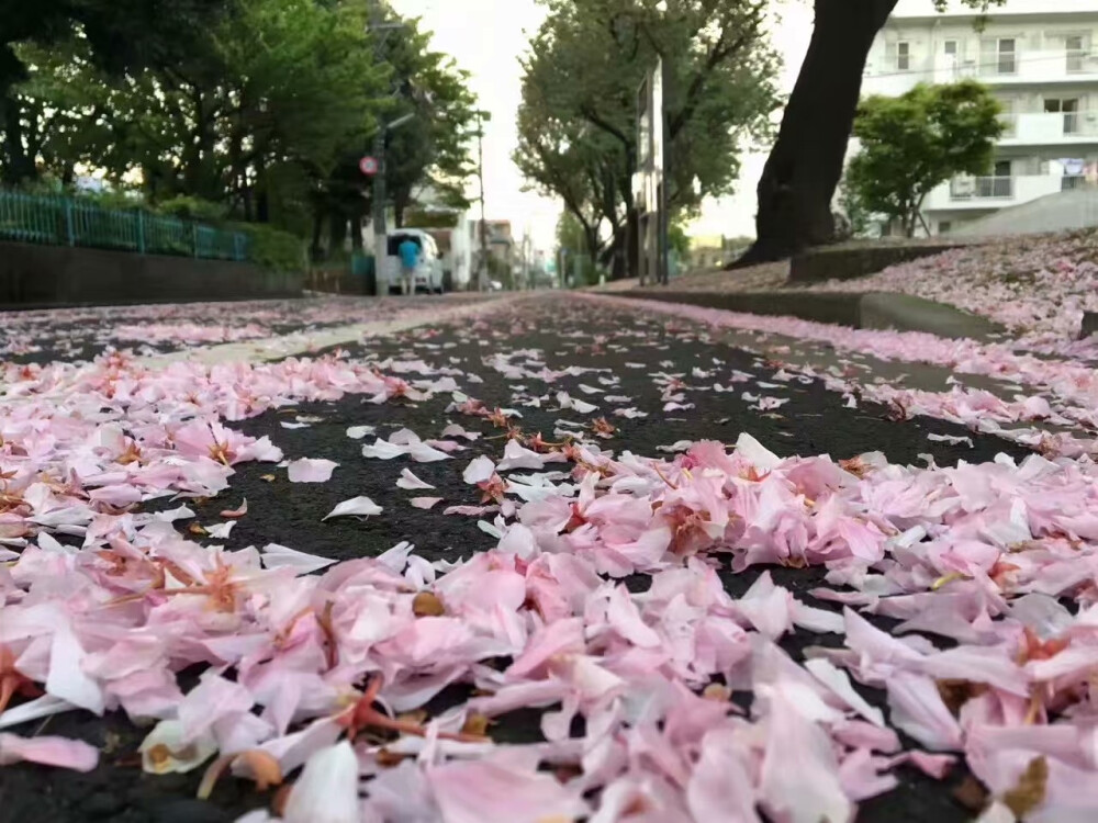 天气好的话，我会去找你.
