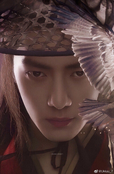 博君一肖、战山为王、连琑反应