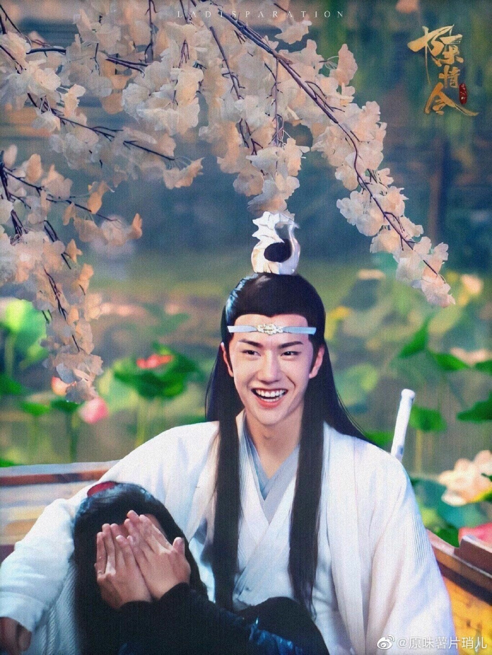 博君一肖、战山为王、连琑反应