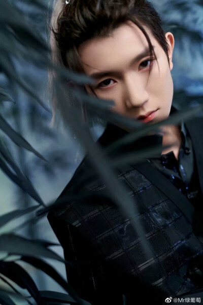 是王源呐
是刚哥呐
是源呐
TFBOYS七周年演唱会图片呐
cr.微博