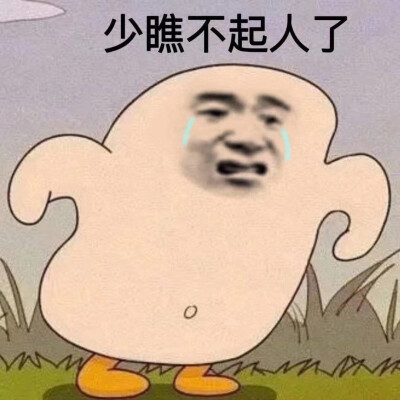 琪琪