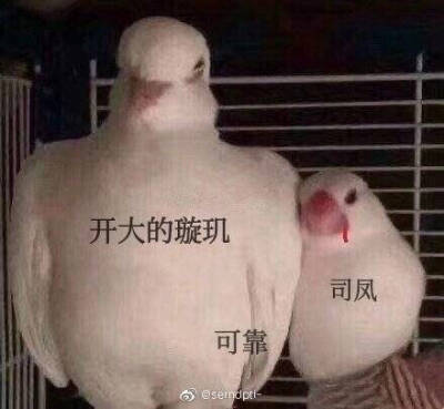 关于琉璃
