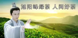 琉璃美人煞  昊辰师兄  绿茶  表情包