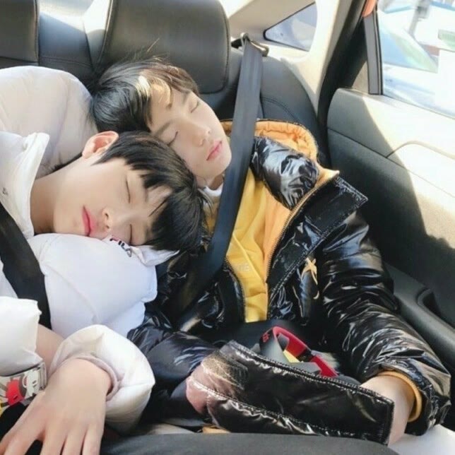 苏棍「苏新皓×朱志鑫」