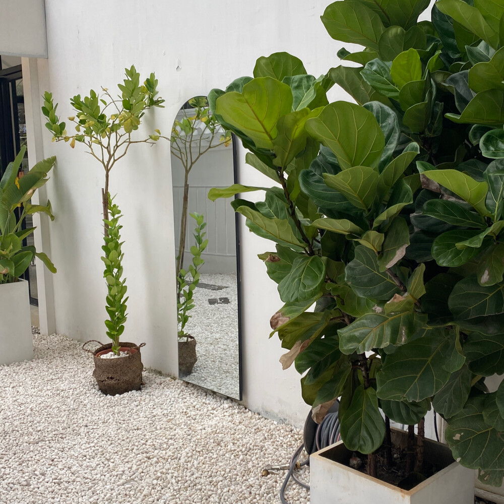 ins背景图
♡♡♡
【自拍图】【下午茶】