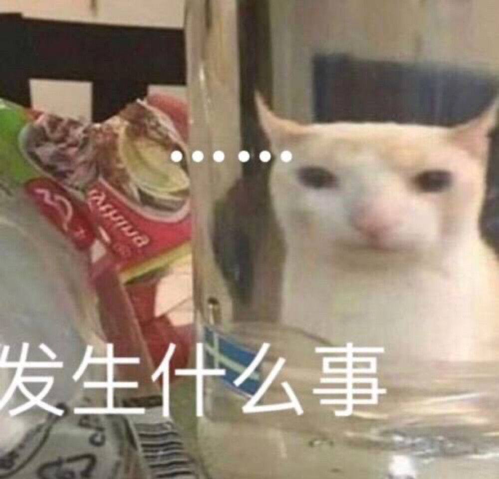 表情包