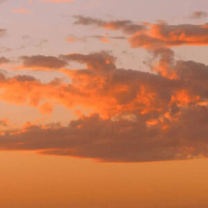 我会把对你的喜欢全部分出去，一分给月光，一分给星河，一分给彩虹，一分给云朵，剩下全部给生活，我一定努力热爱。


#金艺琳