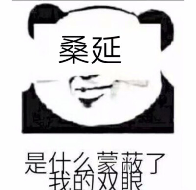 小说