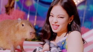 BLACKPINK新歌《ice cream》可二改，JENNIE篇，看简介，使用注明