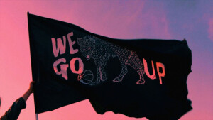 we go up 我真的好喜欢这个旗