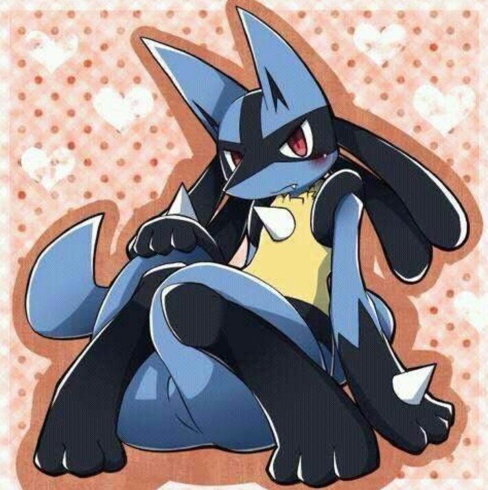 路卡利欧和利欧路
Lucario and Riolu
宝可梦 Pokemon