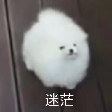 乐表情包 - 高清图片，堆糖，美图壁纸兴趣社区