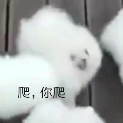 乐表情包 - 高清图片，堆糖，美图壁纸兴趣社区