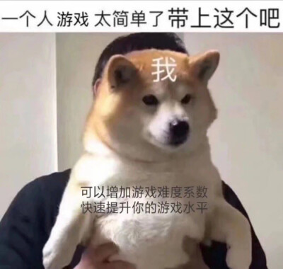 表情包