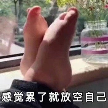 搞笑表情包