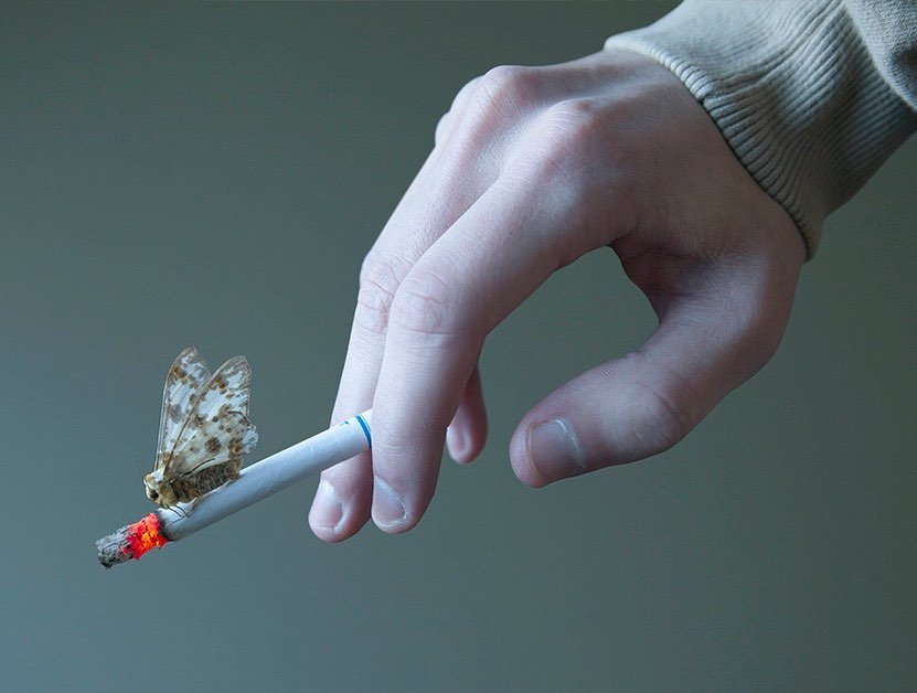  摄影:Kyle Thompson
超现实主义
孤独是人生的常态