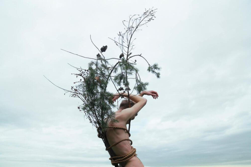  摄影:Kyle Thompson
超现实主义
孤独是人生的常态