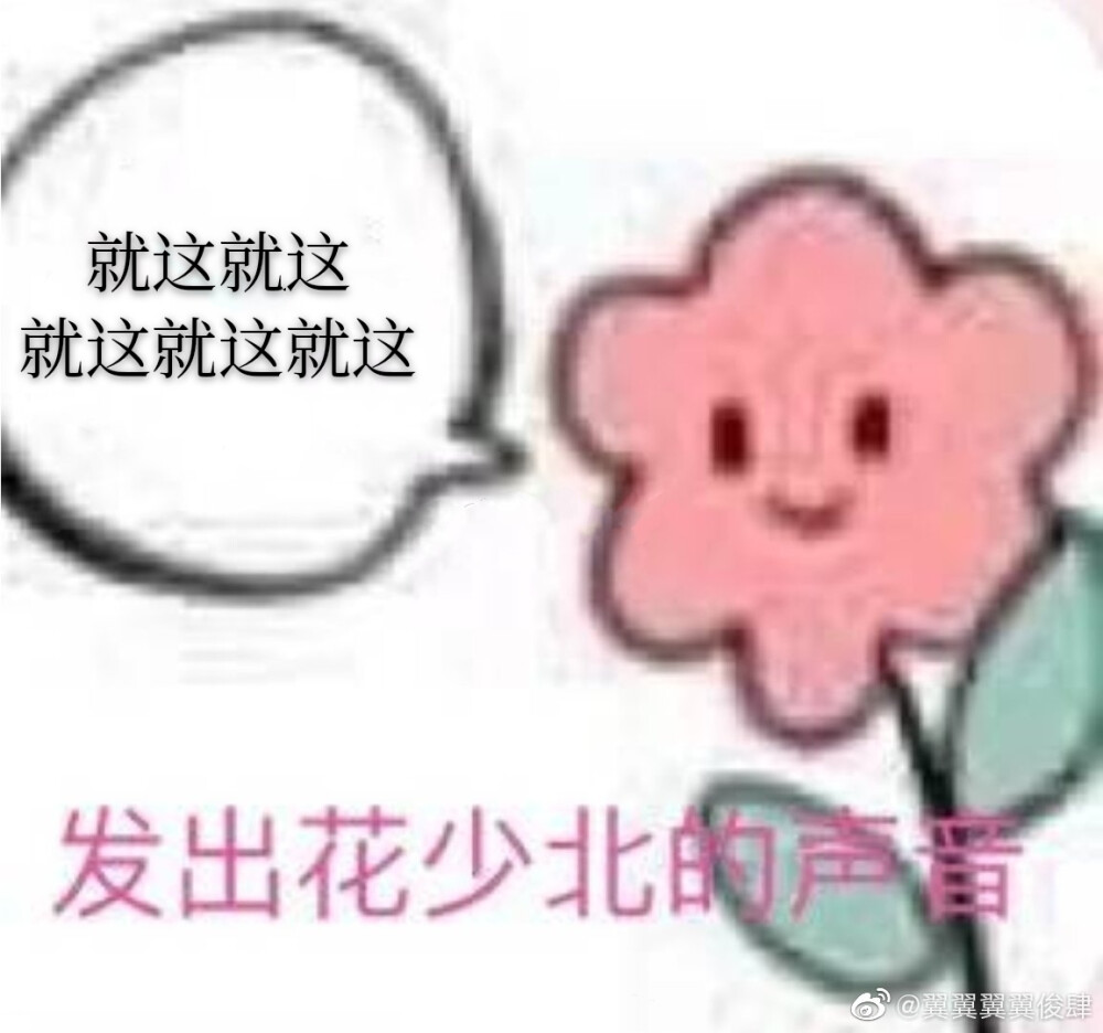 花少北表情包/图源超话