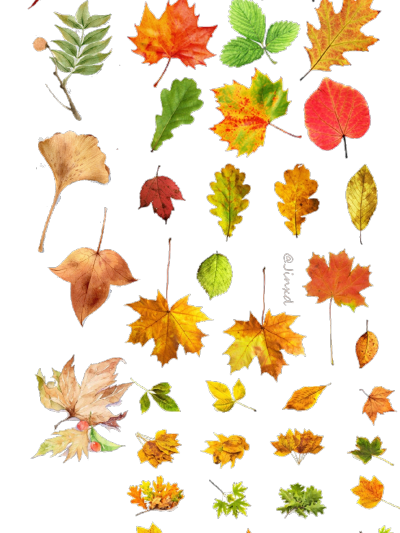 png免抠手帐素材