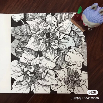 线描花卉