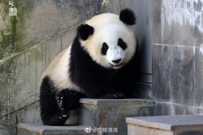 胖小海，花小妹