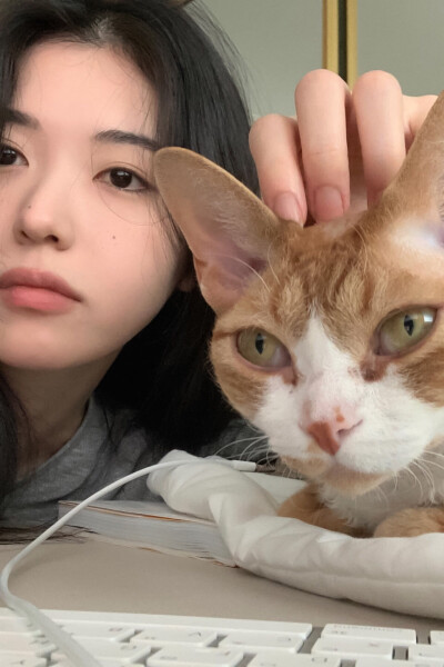 ，