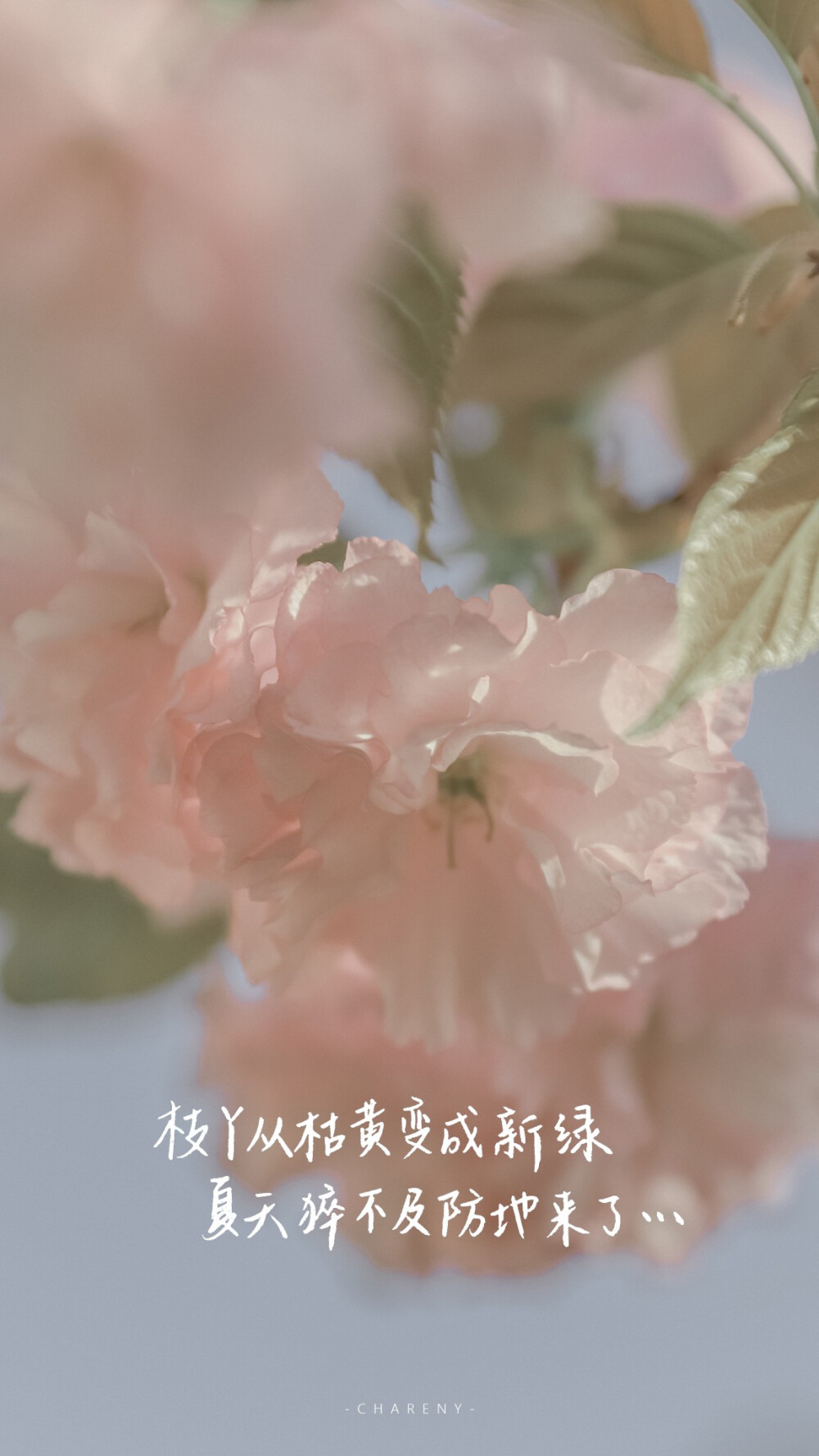 
“ 不知道
留在天台上的那首歌
有没有
记住这落日的晚风”
#文字句子#手写#朋友圈背景图#粉色壁纸#
#情话#诗歌#
作者@小源未圆
【Jinxd】
