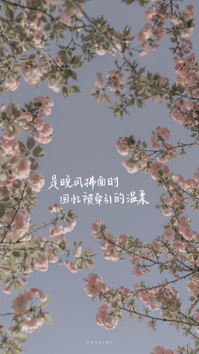 
“ 不知道
留在天台上的那首歌
有没有
记住这落日的晚风”
#文字句子#手写#朋友圈背景图#粉色壁纸#
#情话#诗歌#
作者@小源未圆
【Jinxd】
