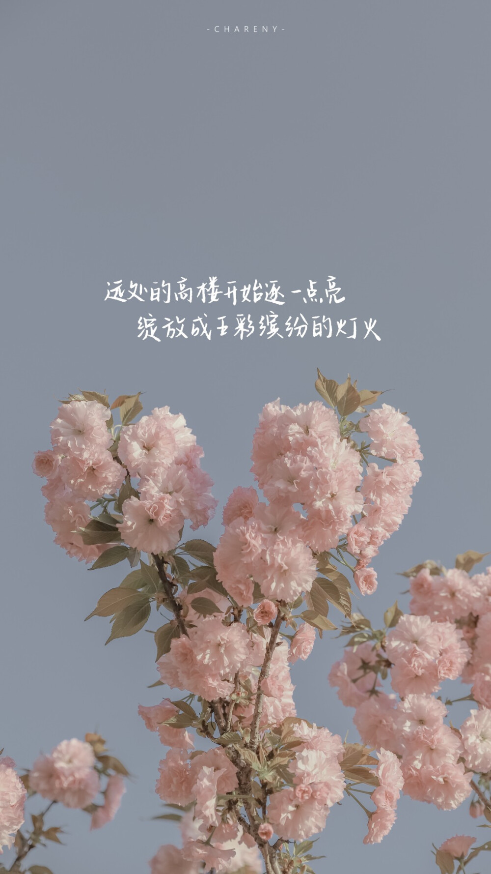 
“ 不知道
留在天台上的那首歌
有没有
记住这落日的晚风”
#文字句子#手写#朋友圈背景图#粉色壁纸#
#情话#诗歌#
作者@小源未圆
【Jinxd】
