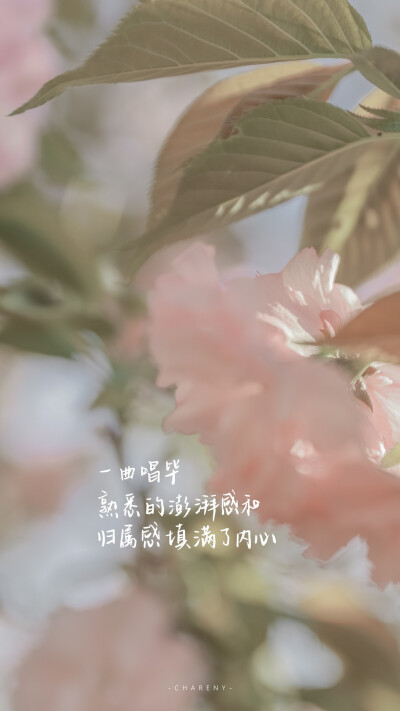 
“ 不知道
留在天台上的那首歌
有没有
记住这落日的晚风”
#文字句子#手写#朋友圈背景图#粉色壁纸#
#情话#诗歌#
作者@小源未圆
【Jinxd】
