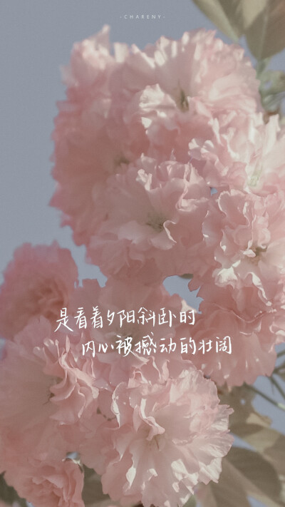 
“ 不知道
留在天台上的那首歌
有没有
记住这落日的晚风”
#文字句子#手写#朋友圈背景图#粉色壁纸#
#情话#诗歌#
作者@小源未圆
【Jinxd】
