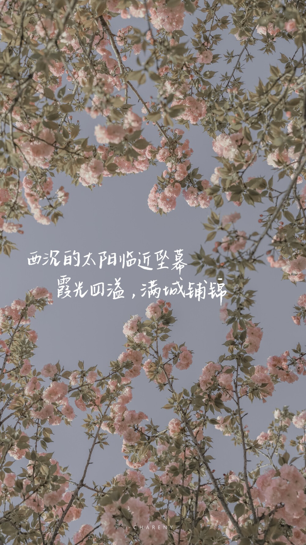 
“ 不知道
留在天台上的那首歌
有没有
记住这落日的晚风”
#文字句子#手写#朋友圈背景图#粉色壁纸#
#情话#诗歌#
作者@小源未圆
【Jinxd】
