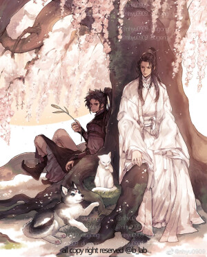 二哈和他的白猫师尊