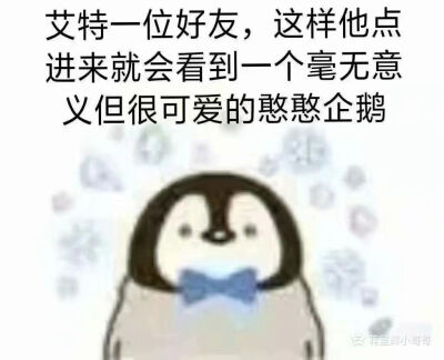 企鹅表情包