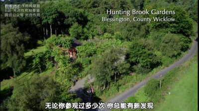 Jimi的花园
位于爱尔兰Hunting Brook 的Jimi Blake的花园