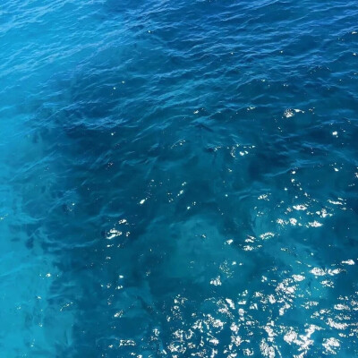  P̶i̶c̶t̶u̶r̶e̶ m̶e̶ g̶o̶n̶e