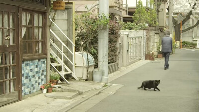 面包和汤和猫咪好天气