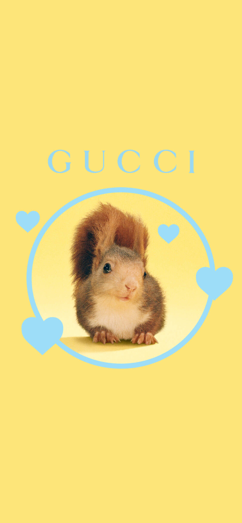 Gucci 壁纸