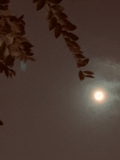 .你没来.
.于是这八天依旧是我一个人.
