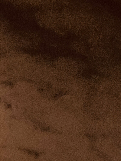 一场来自树与天的邂逅
寻找寂静里的角落
原是美好