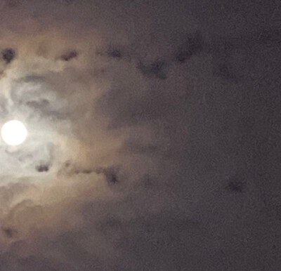 一场来自树与天的邂逅
寻找寂静里的角落
原是美好