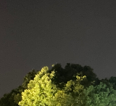 一场来自树与天的邂逅
寻找寂静里的角落
原是美好