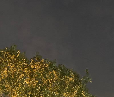 一场来自树与天的邂逅
寻找寂静里的角落
原是美好