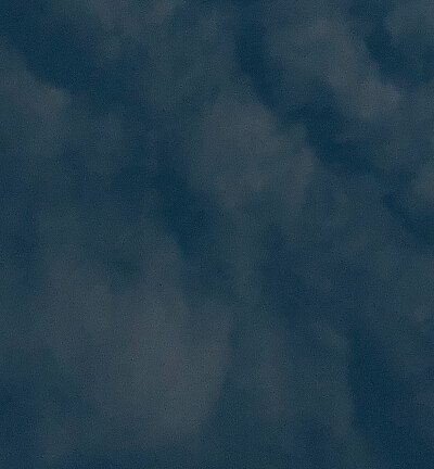 一场来自树与天的邂逅
寻找寂静里的角落
原是美好