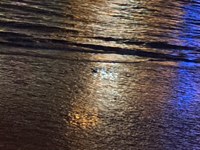 一场来自树与天的邂逅
寻找寂静里的角落
原是美好