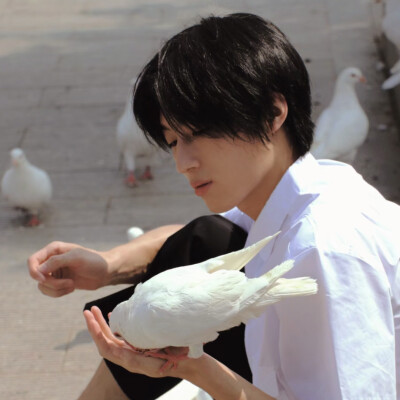 二传注明堆糖占课