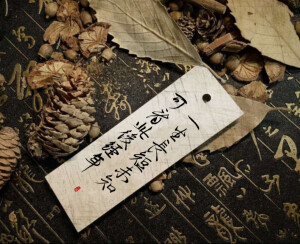 “一生长短未知，可看此后经年。”

碎玉投珠手写
