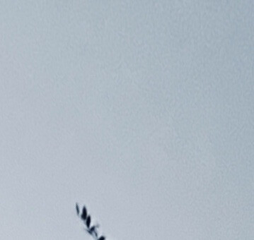 仅仅是系统原相机自带的效果
也可以记录
.人.间.烟.火.